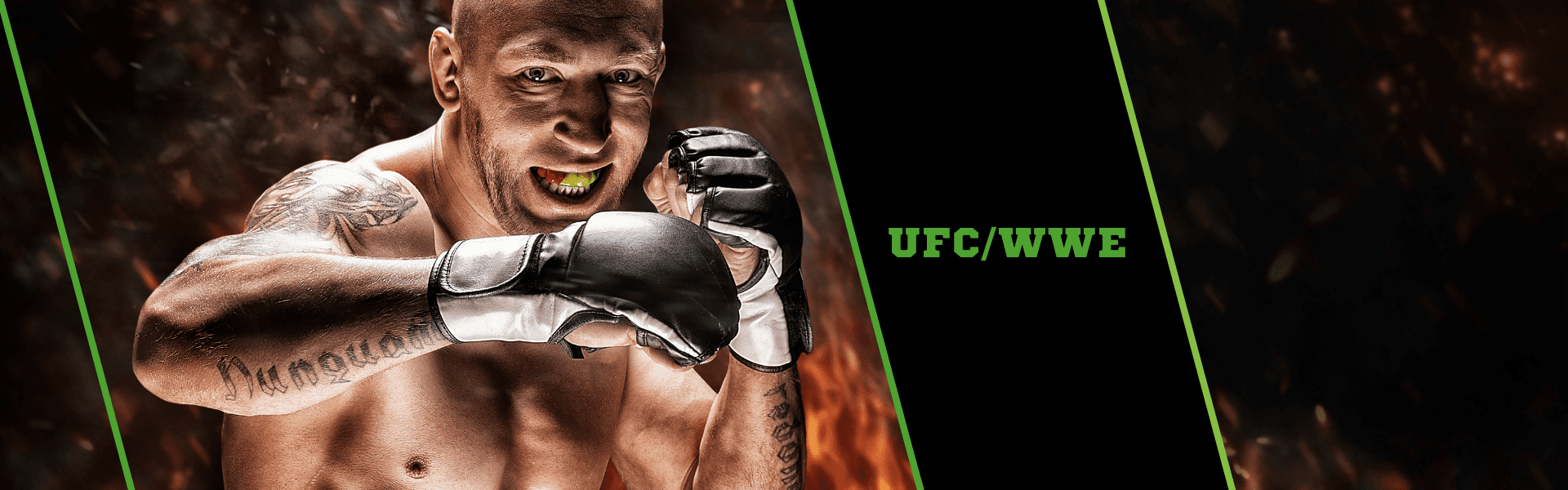 Froggers House of Cards - UFC WWE