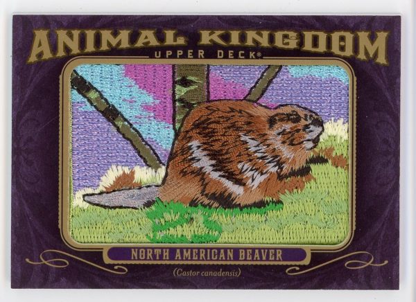 North American Beaver 2012 Goodwin Champions Animal Kingdom Patch #AK-129