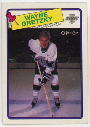 Wayne Gretzky 1988-89 O-Pee-Chee Card #120